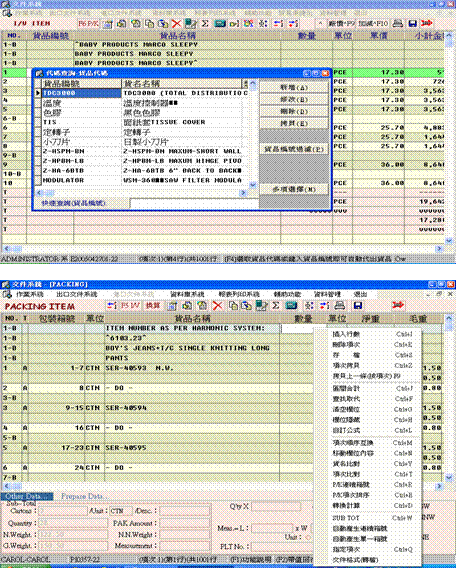 CBSWIN报关文件系统